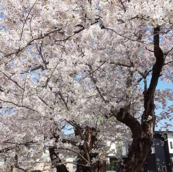 פנסיון Kakunodate Guesthouse Fuga