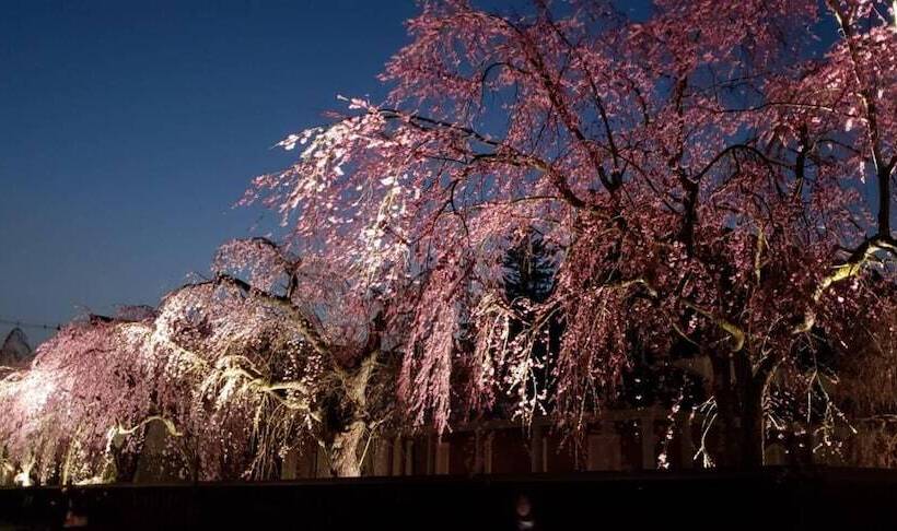 פנסיון Kakunodate Guesthouse Fuga