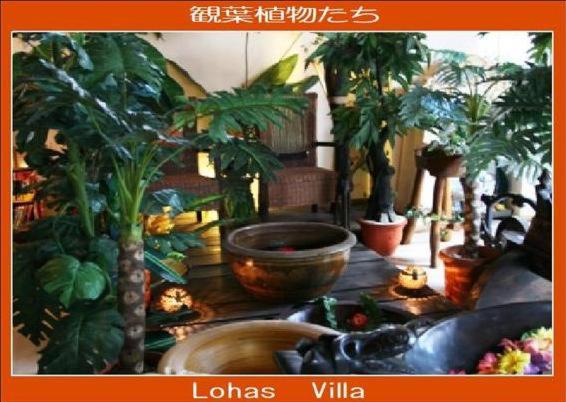 ペンション Lohas Villa