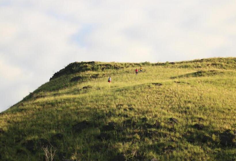 Пансион Morinda Villa And Resto