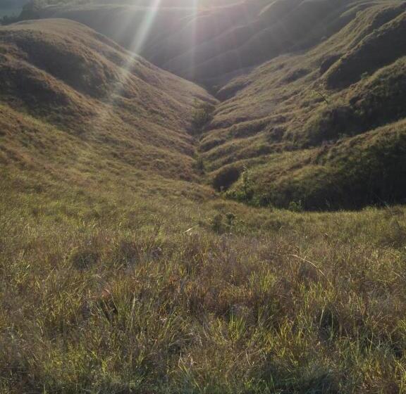 Пансион Morinda Villa And Resto