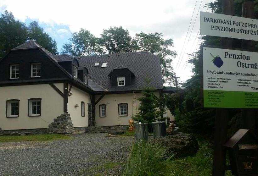 Пансион Penzion Ostruznik