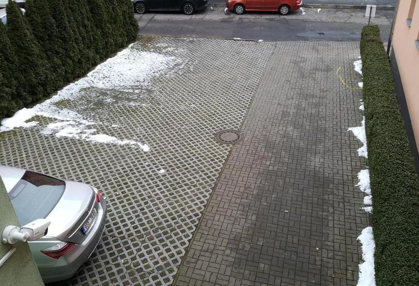 بنسيون Penzion Piano & Apartment Sokolov