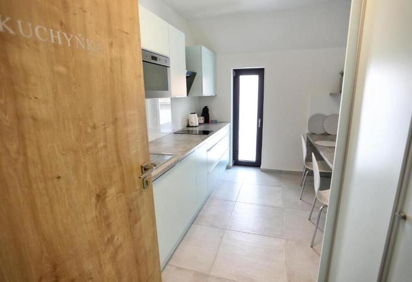 پانسیون Penzion Vinařství Konitz