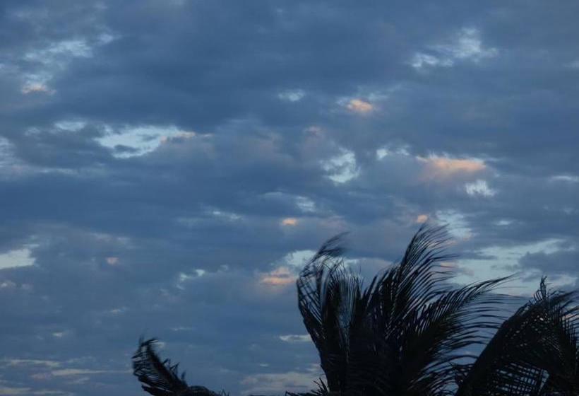 بنسيون Pousada Miau Miau