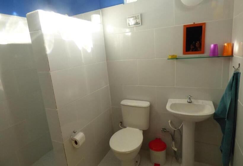 بنسيون Pousada Miau Miau