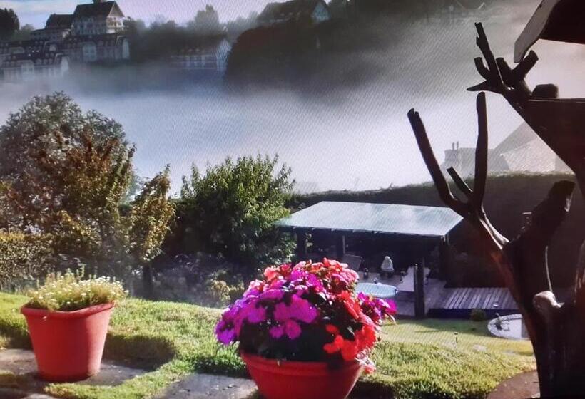 Пансион Pousada Toca Dos Tucanos