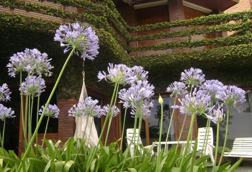 Общежитие Villa De La Costa