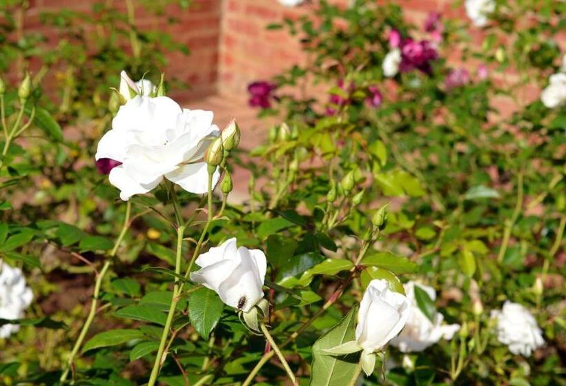 הוסטל Village Lodge Harrismith