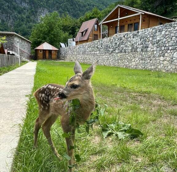 Thethi Paradise Hotel & Restaurant