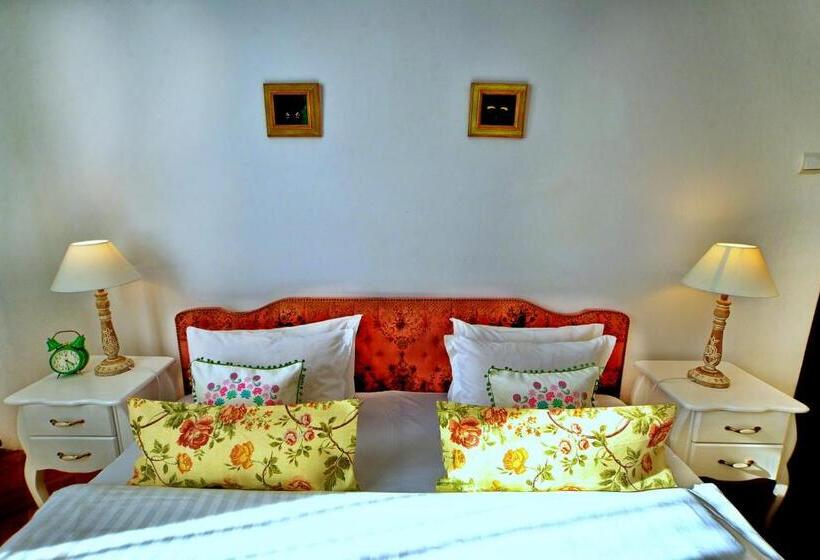 펜션 Casa Negustorului