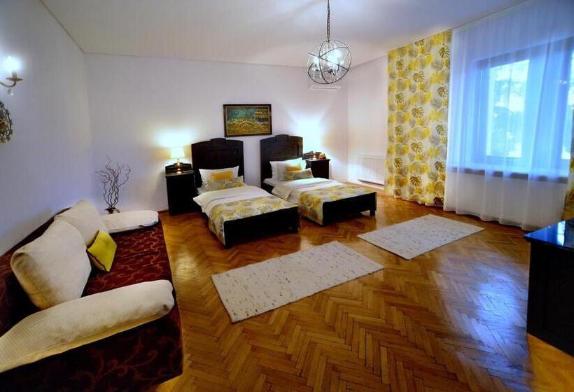 펜션 Casa Negustorului