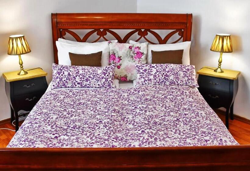 펜션 Casa Negustorului