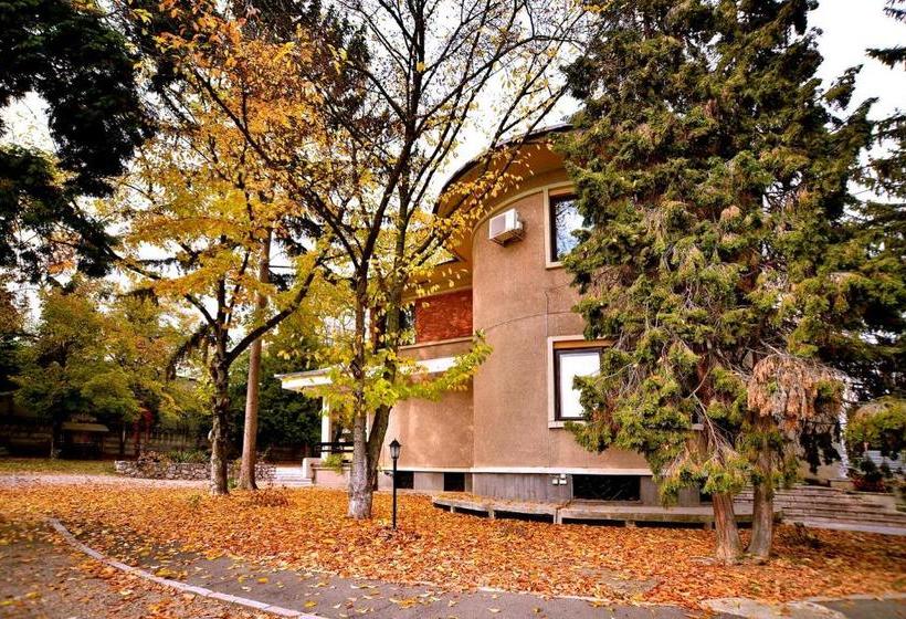 펜션 Casa Negustorului