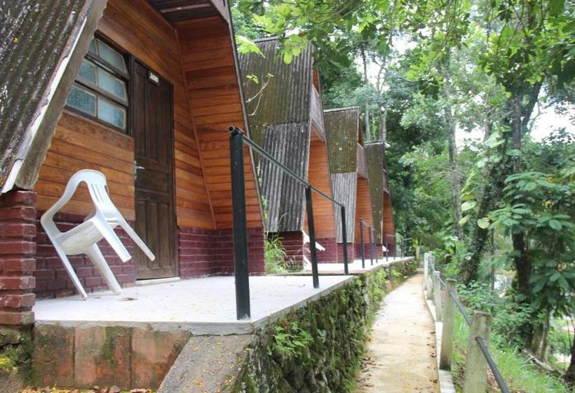 膳宿费 Fazenda Caluje