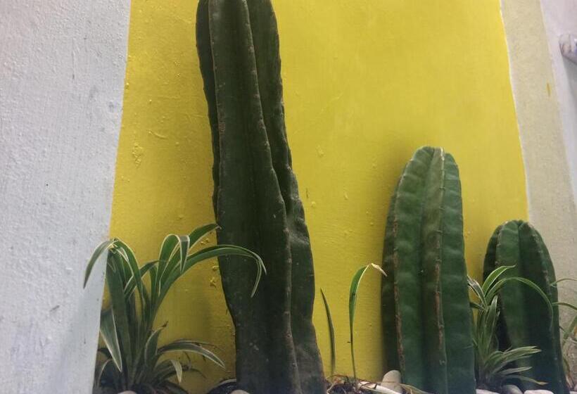 פנסיון Nomore Gallery And Guesthouse