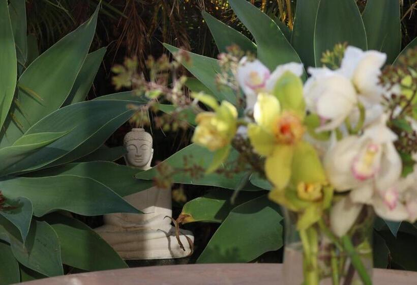 Pension Nyima Tashi Buddhist Centre