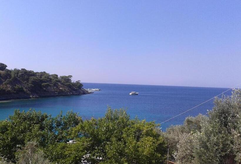 ペンション Studio Julius Constanta