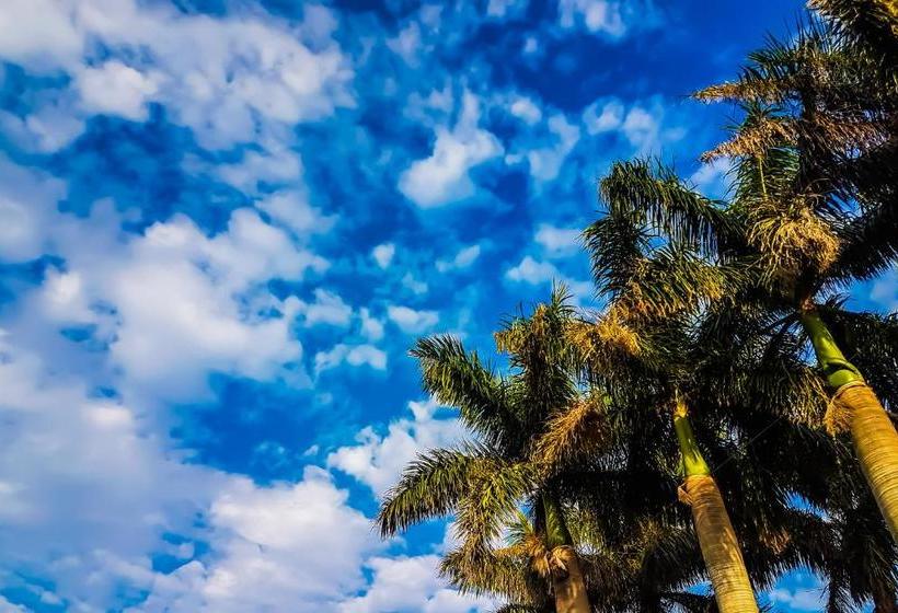 Пансион Villa Tropicana  South Africa