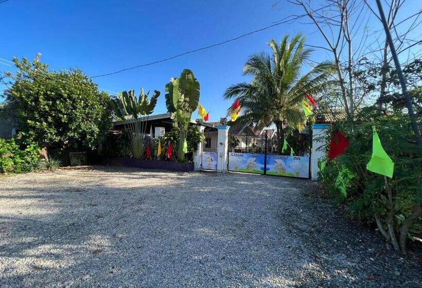 호스텔 Ice Bear Bar & Tourist Inn