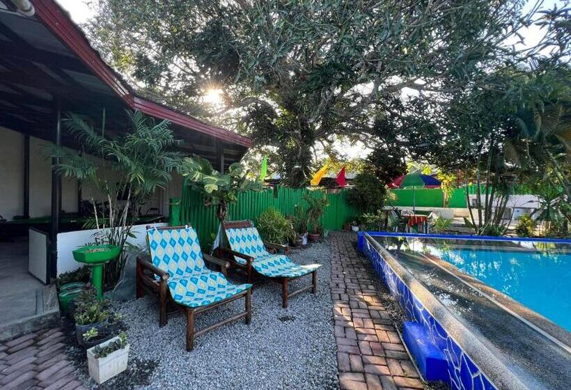 호스텔 Ice Bear Bar & Tourist Inn