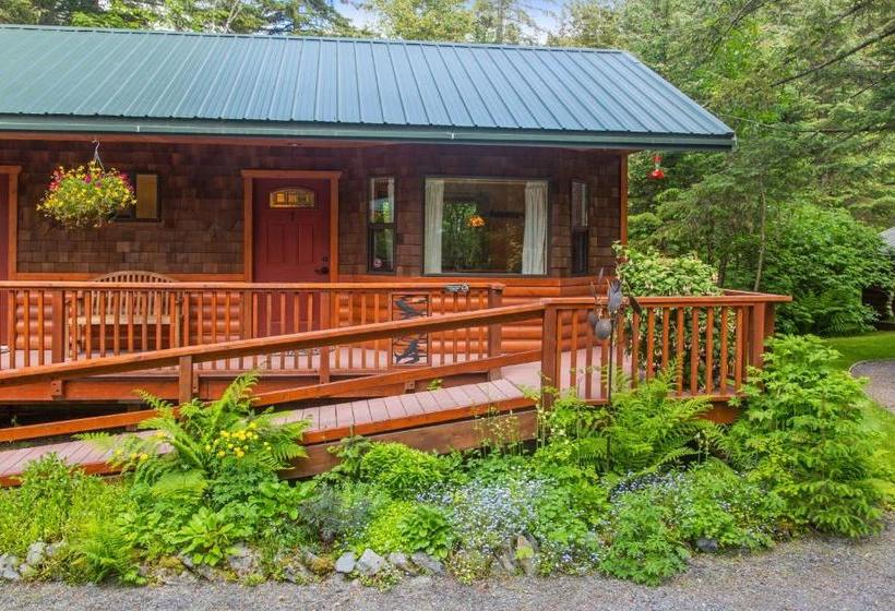 הוסטל Steller Inn