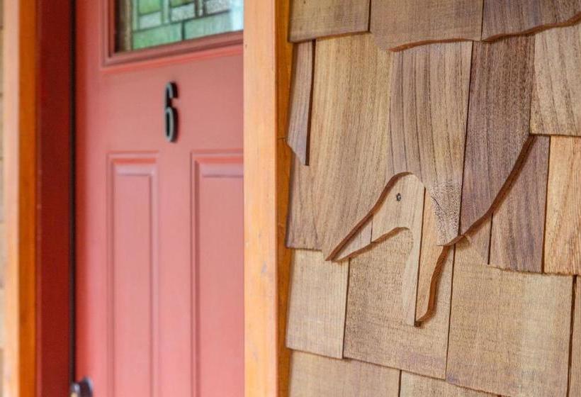 הוסטל Steller Inn