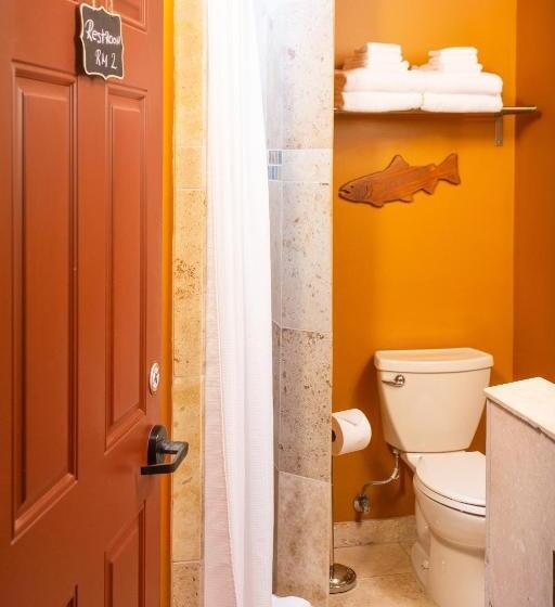 הוסטל Steller Inn