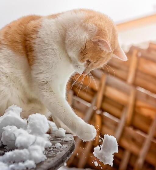 בית מלון כפרי Klampfererhof