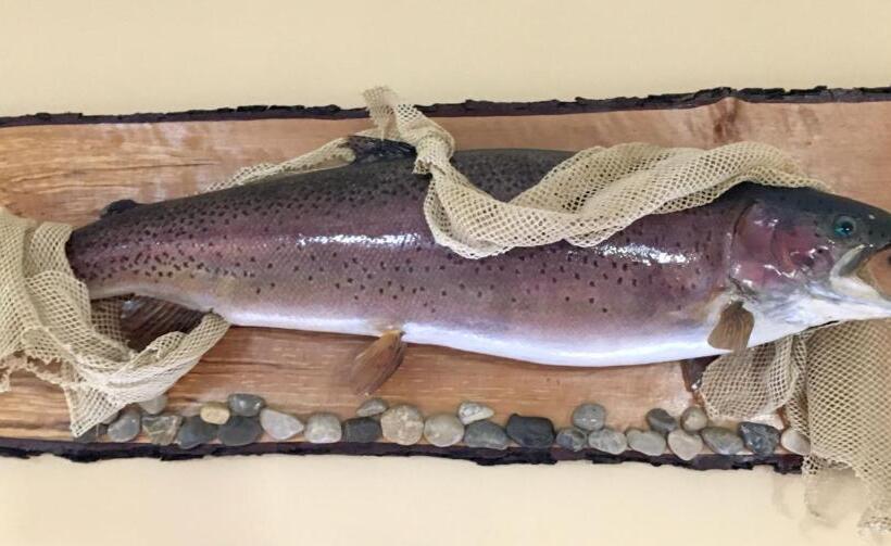 پانسیون Guest House Atelšek