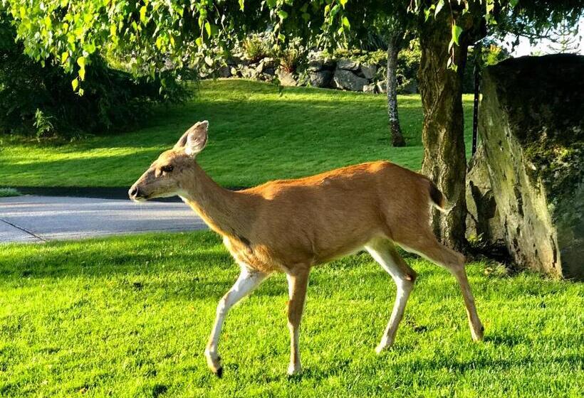 פנסיון Ocean Melody Vacation Rooms