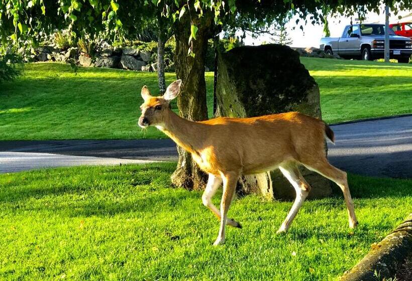 פנסיון Ocean Melody Vacation Rooms