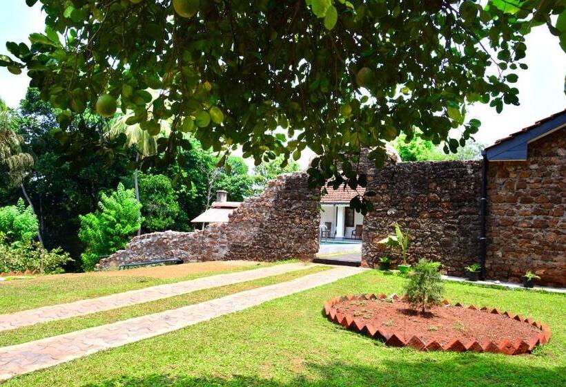 بنسيون Paradise Forest Garden