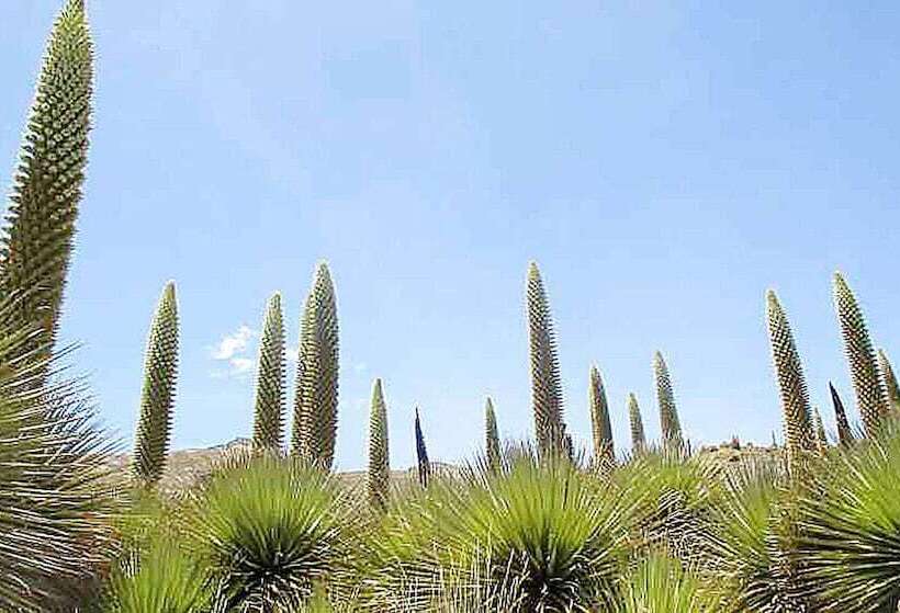 هاستل Hostal Rosales