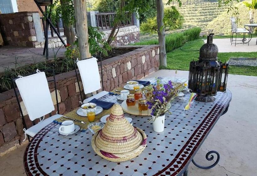 هاستل Le Douar Berbere