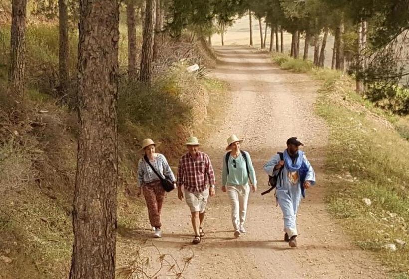 هاستل Le Douar Berbere