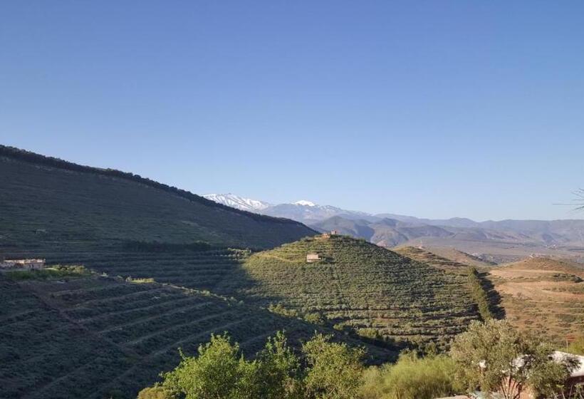 هاستل Le Douar Berbere