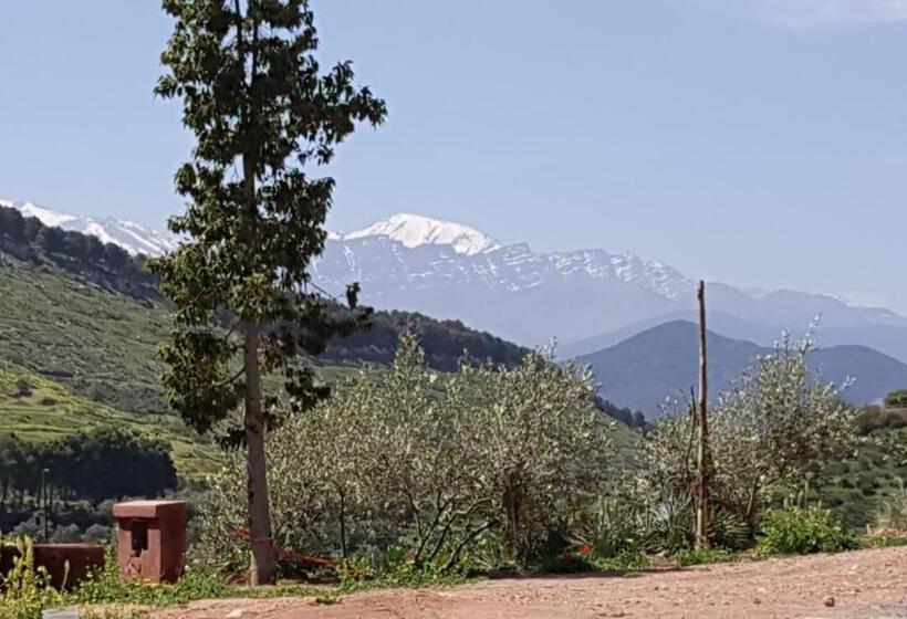 هاستل Le Douar Berbere