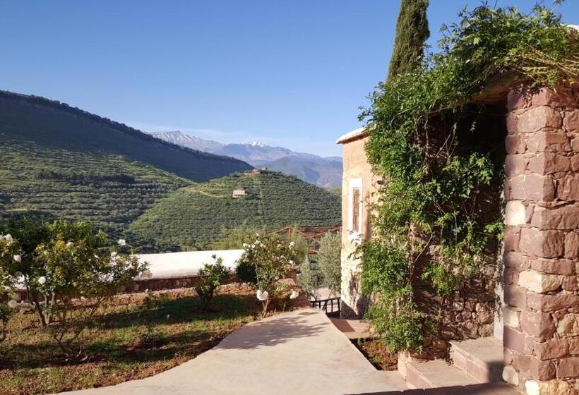 هاستل Le Douar Berbere