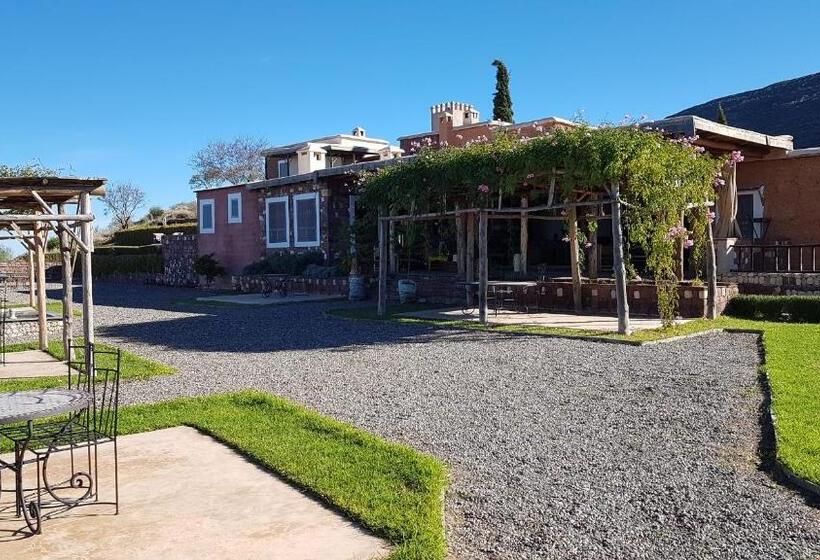 هاستل Le Douar Berbere