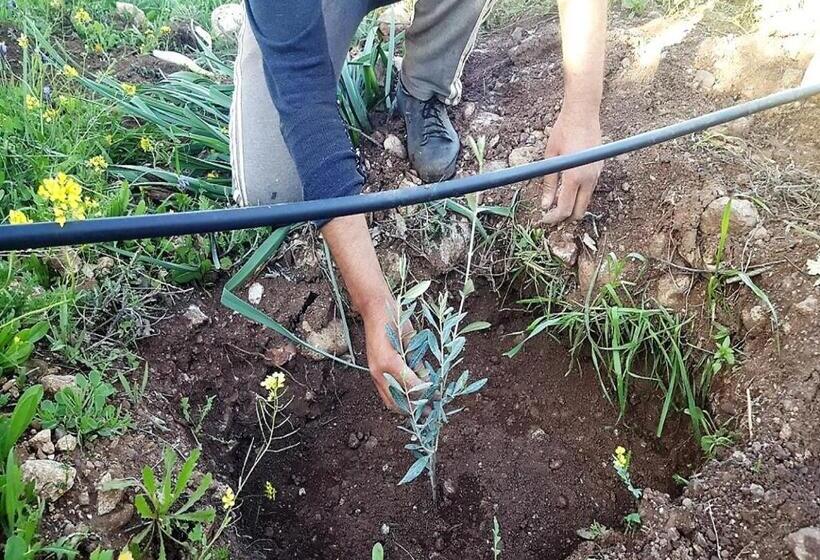 هاستل Le Douar Berbere