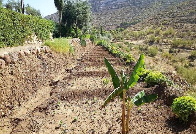 هاستل Le Douar Berbere