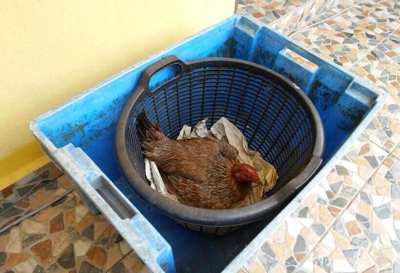 Отель Harum Manis Country House