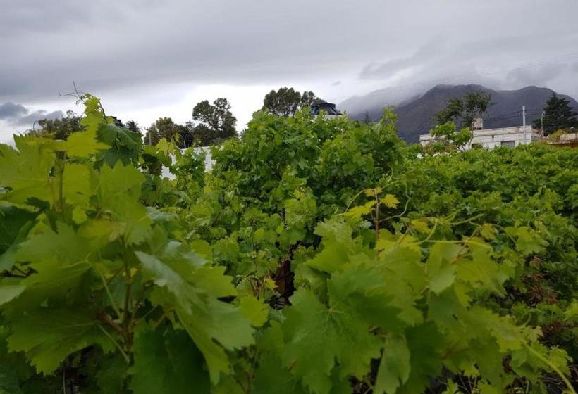 膳宿费 Guest House Mielaloe