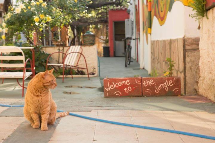 膳宿费 Guest House Mielaloe