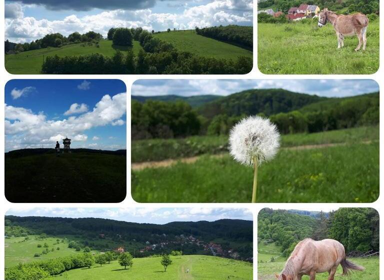 פנסיון Kékfestő Vendégház