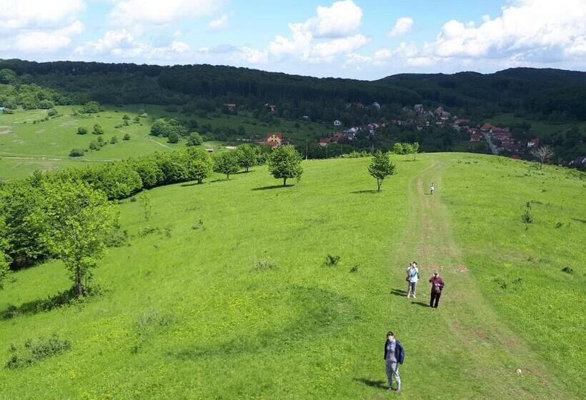 פנסיון Kékfestő Vendégház