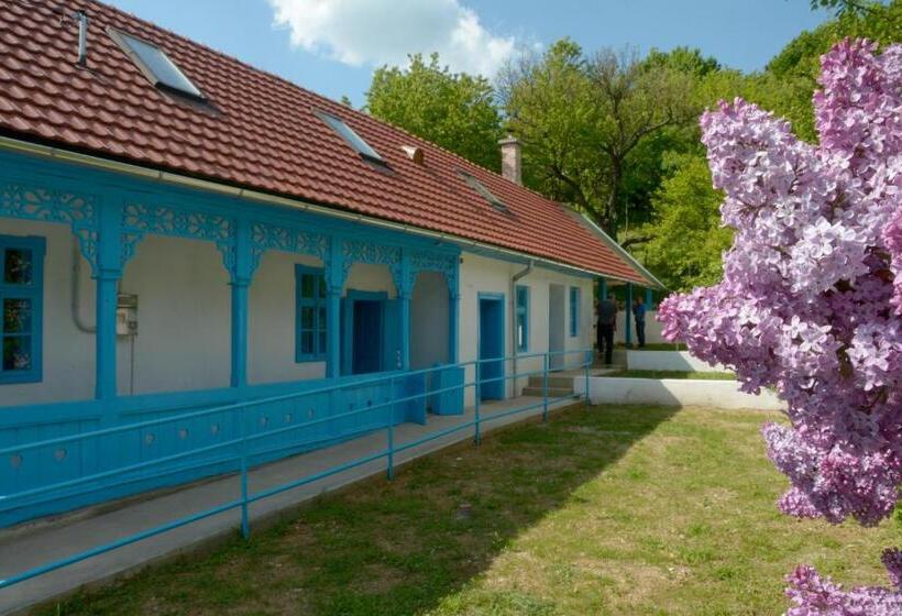 פנסיון Kékfestő Vendégház