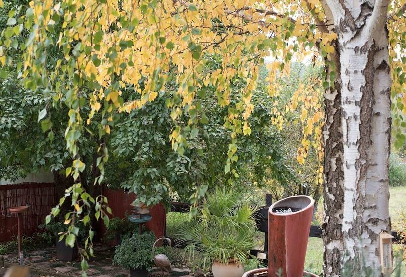 ペンション Patcham Place & Lilliput House, Clarens