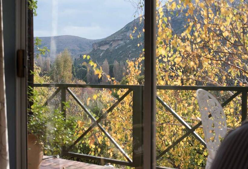 ペンション Patcham Place & Lilliput House, Clarens